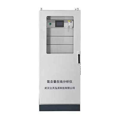 Gasprozessanalysesystem